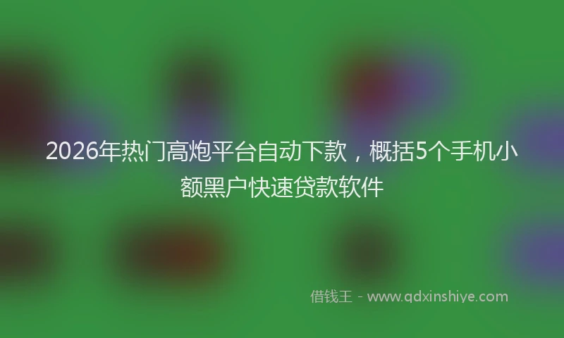 2026年热门高炮平台自动下款，概括5个手机小额黑户快速贷款软件