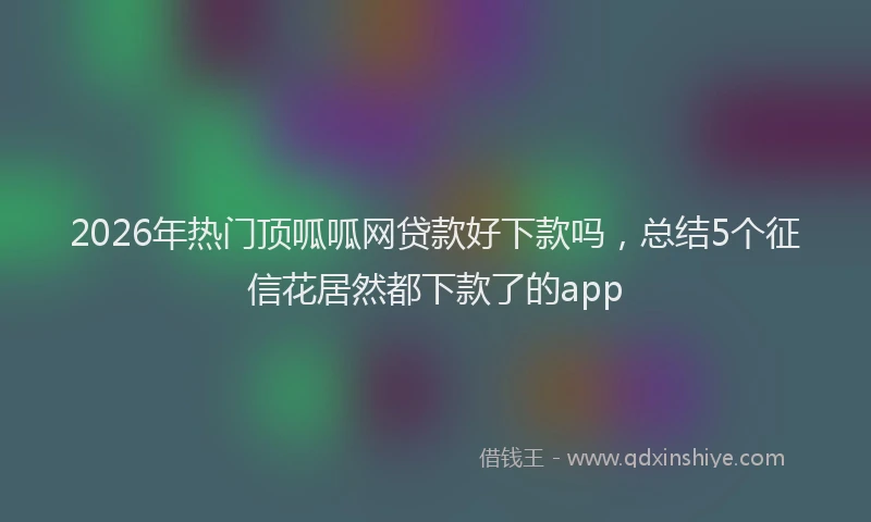 2026年热门顶呱呱网贷款好下款吗，总结5个征信花居然都下款了的app