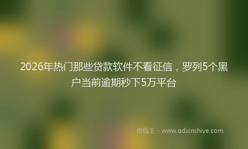 2026年热门那些贷款软件不看征信，罗列5个黑户当前逾期秒下5万平台