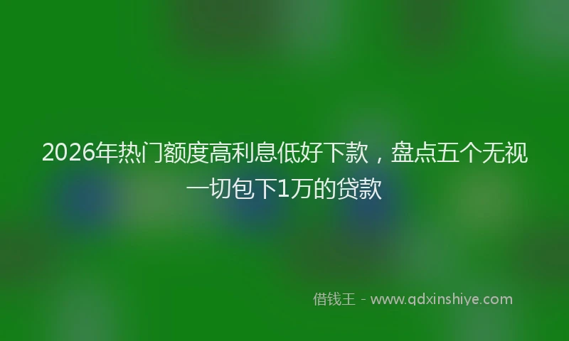 2026年热门额度高利息低好下款,盘点五个无视一切包下1万的贷款