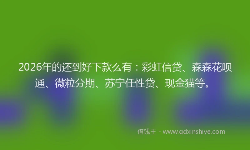 2026年的还到好下款么有：彩虹信贷、森森花呗通、微粒分期、苏宁任性贷、现金猫等。