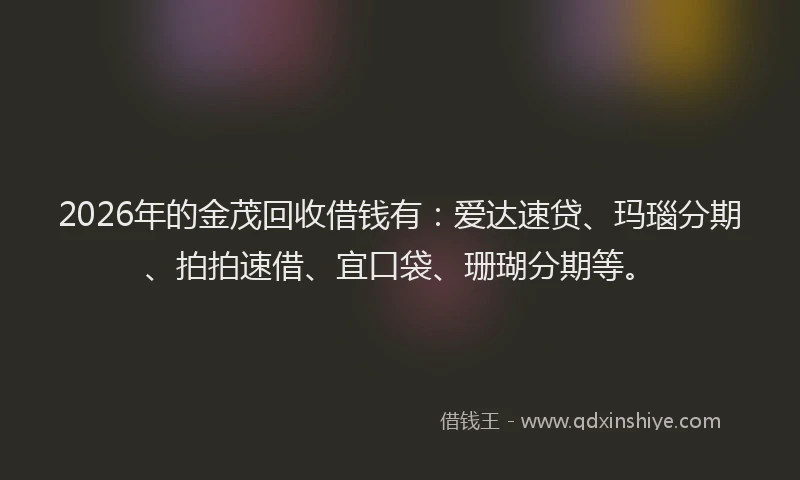 2026年的金茂回收借钱有：爱达速贷、玛瑙分期、拍拍速借、宜口袋、珊瑚分期等。