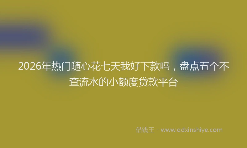 2026年热门随心花七天我好下款吗，盘点五个不查流水的小额度贷款平台