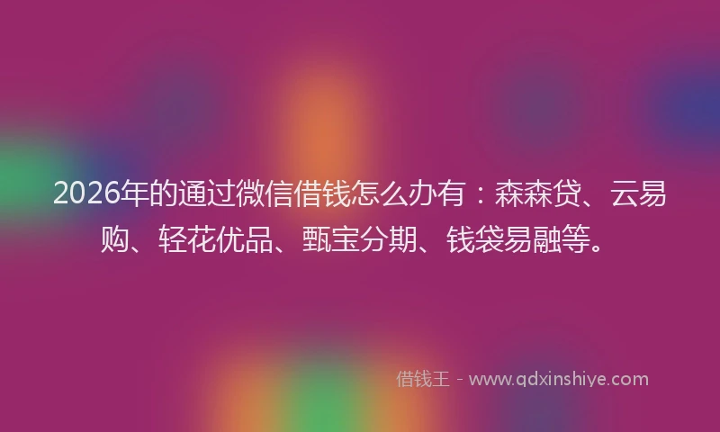 2026年的通过微信借钱怎么办有:森森贷、云易购、轻花优品、甄宝分期、钱袋易融等。