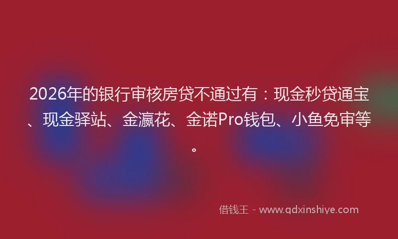 2026年的银行审核房贷不通过有：现金秒贷通宝、现金驿站、金瀛花、金诺Pro钱包、小鱼免审等。