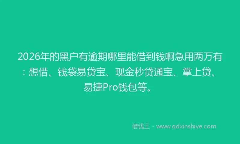 2026年的黑户有逾期哪里能借到钱啊急用两万有：想借、钱袋易贷宝、现金秒贷通宝、掌上贷、易捷Pro钱包等。