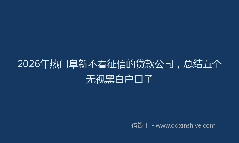 2026年热门阜新不看征信的贷款公司，总结五个无视黑白户口子