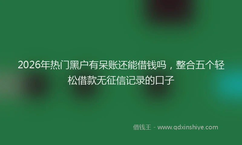 2026年热门黑户有呆账还能借钱吗，整合五个轻松借款无征信记录的口子