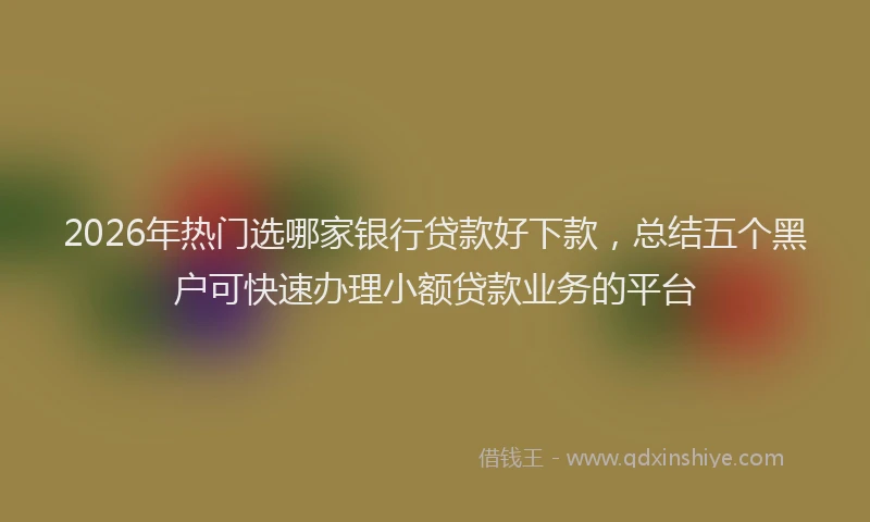 2026年热门选哪家银行贷款好下款，总结五个黑户可快速办理小额贷款业务的平台
