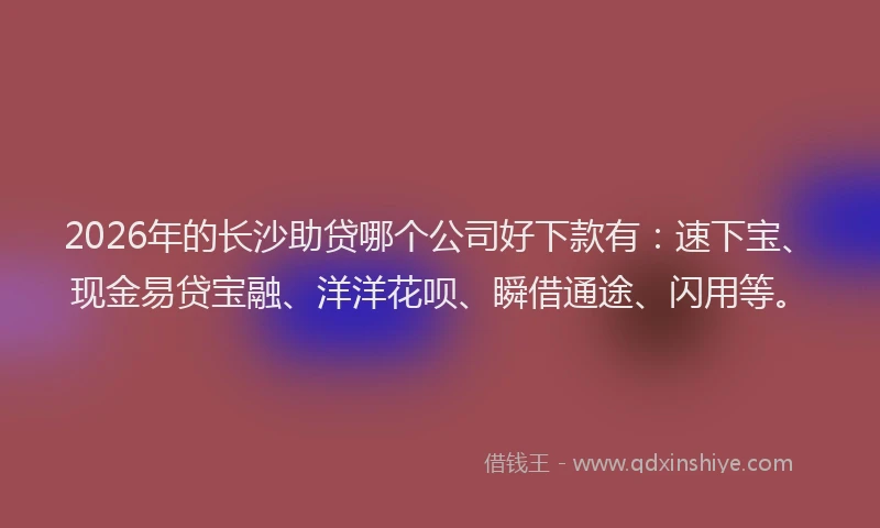 2026年的长沙助贷哪个公司好下款有:速下宝、现金易贷宝融、洋洋花呗、瞬借通途、闪用等。