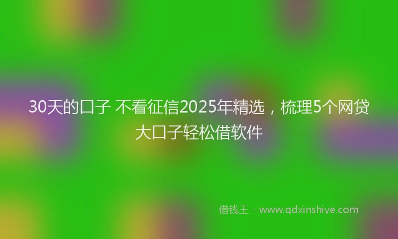 30天的口子 不看征信2025年精选，梳理5个网贷大口子轻松借软件
