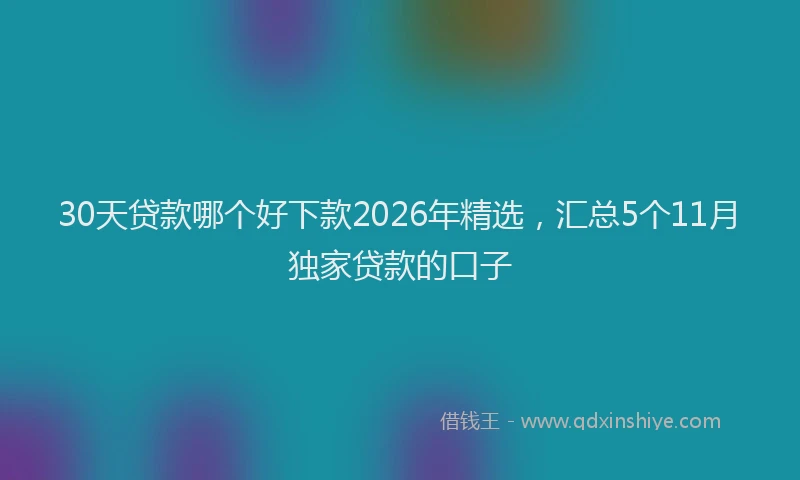 30天贷款哪个好下款2026年精选，汇总5个11月独家贷款的口子