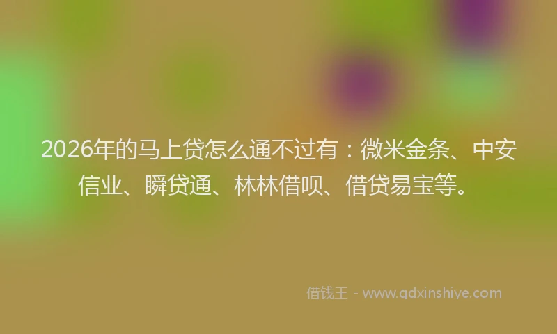 2026年的马上贷怎么通不过有：微米金条、中安信业、瞬贷通、林林借呗、借贷易宝等。