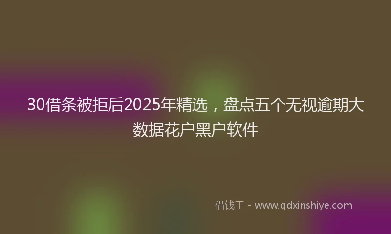 30借条被拒后2025年精选，盘点五个无视逾期大数据花户黑户软件