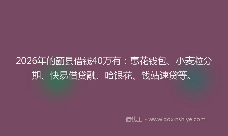 2026年的蓟县借钱40万有:惠花钱包、小麦粒分期、快易借贷融、哈银花、钱站速贷等。