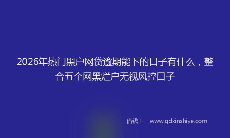 2026年热门黑户网贷逾期能下的口子有什么，整合五个网黑烂户无视风控口子