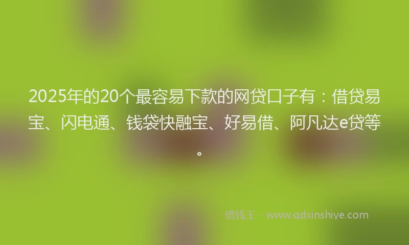2025年的20个最容易下款的网贷口子有：借贷易宝、闪电通、钱袋快融宝、好易借、阿凡达e贷等。
