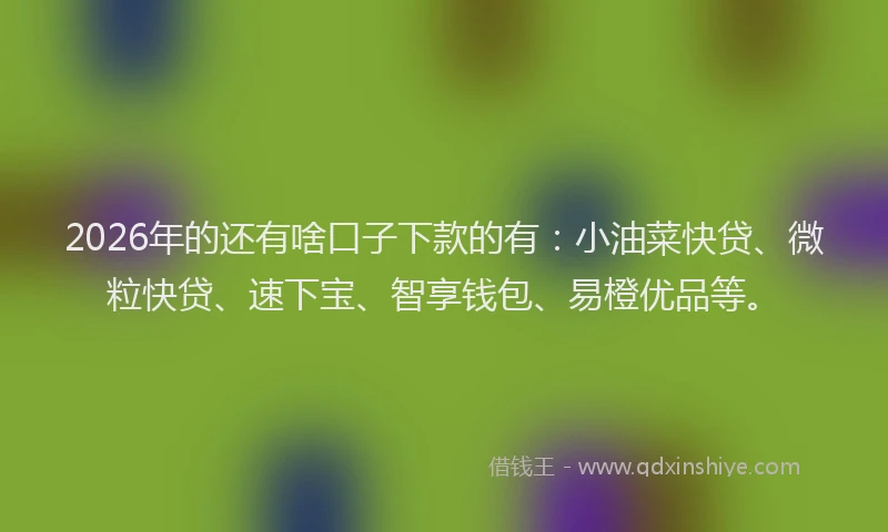 2026年的还有啥口子下款的有:小油菜快贷、微粒快贷、速下宝、智享钱包、易橙优品等。