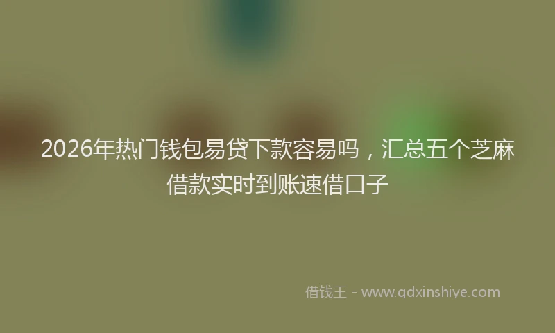 2026年热门钱包易贷下款容易吗，汇总五个芝麻借款实时到账速借口子