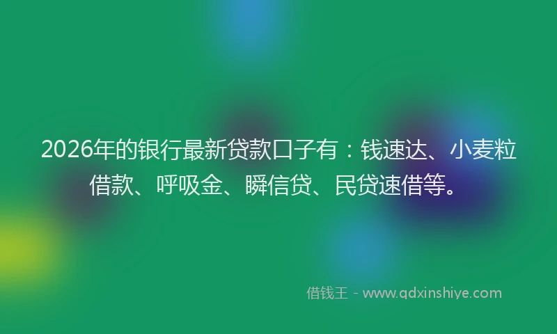 2026年的银行最新贷款口子有：钱速达、小麦粒借款、呼吸金、瞬信贷、民贷速借等。