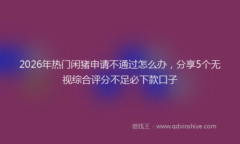 2026年热门闲猪申请不通过怎么办，分享5个无视综合评分不足必下款口子