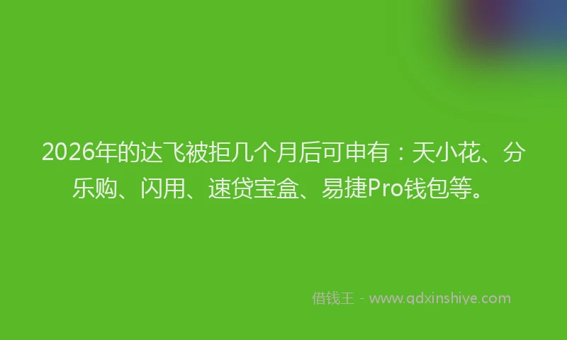2026年的达飞被拒几个月后可申有：天小花、分乐购、闪用、速贷宝盒、易捷Pro钱包等。