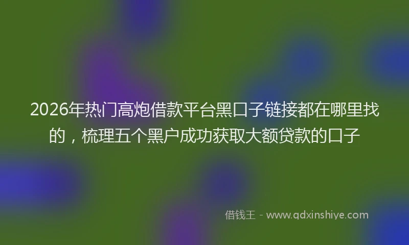2026年热门高炮借款平台黑口子链接都在哪里找的，梳理五个黑户成功获取大额贷款的口子