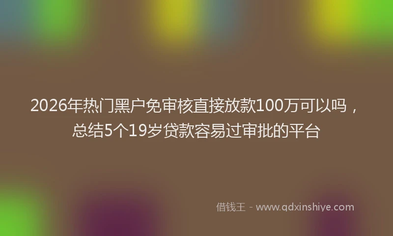 2026年热门黑户免审核直接放款100万可以吗，总结5个19岁贷款容易过审批的平台