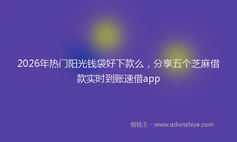 2026年热门阳光钱袋好下款么，分享五个芝麻借款实时到账速借app