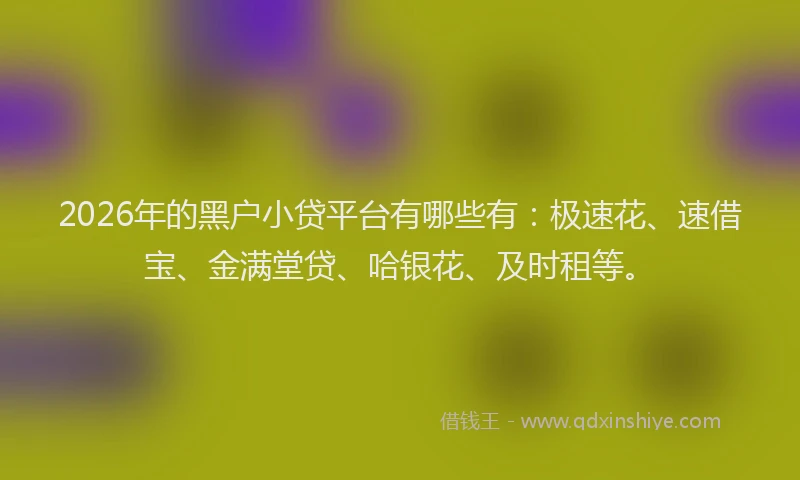 2026年的黑户小贷平台有哪些有：极速花、速借宝、金满堂贷、哈银花、及时租等。