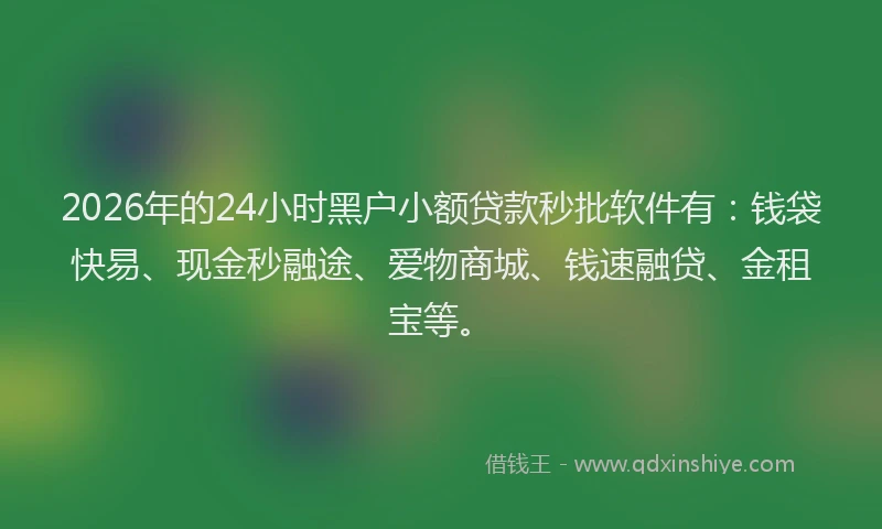 2026年的24小时黑户小额贷款秒批软件有：钱袋快易、现金秒融途、爱物商城、钱速融贷、金租宝等。