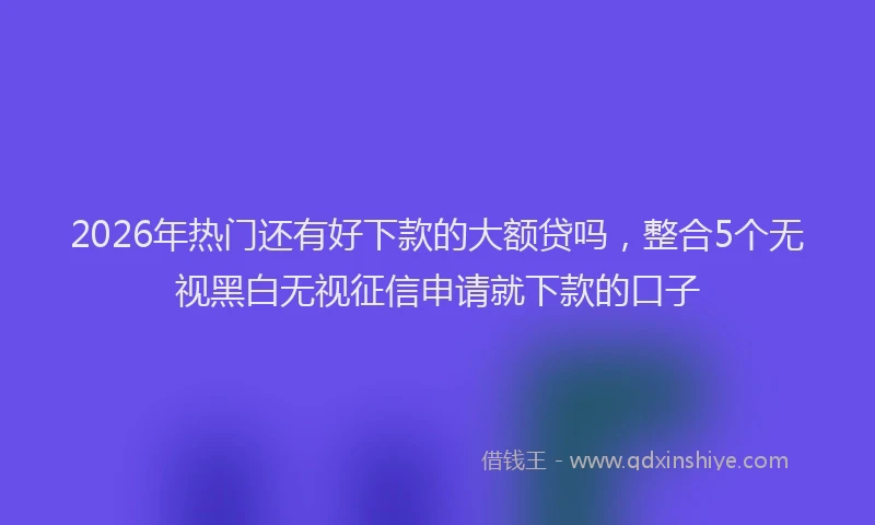 2026年热门还有好下款的大额贷吗，整合5个无视黑白无视征信申请就下款的口子