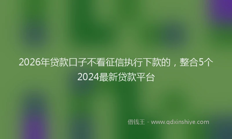 2026年贷款口子不看征信执行下款的，整合5个2024最新贷款平台