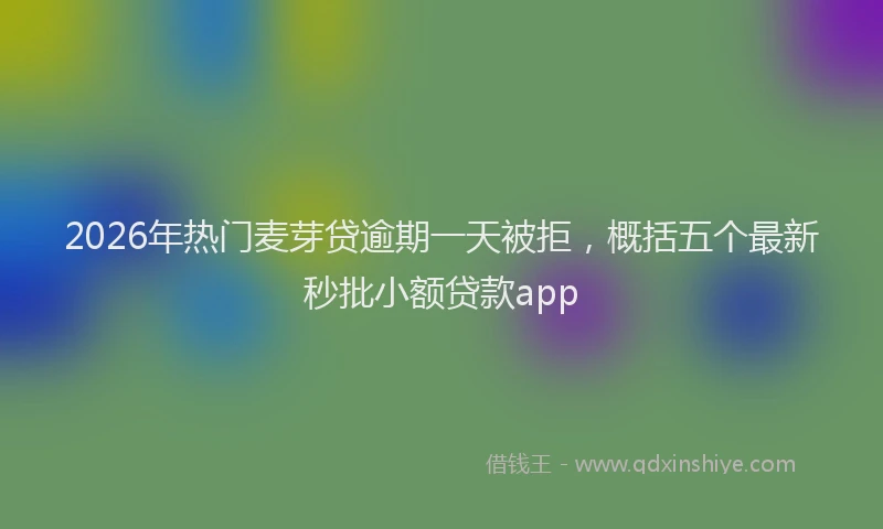 2026年热门麦芽贷逾期一天被拒，概括五个最新秒批小额贷款app