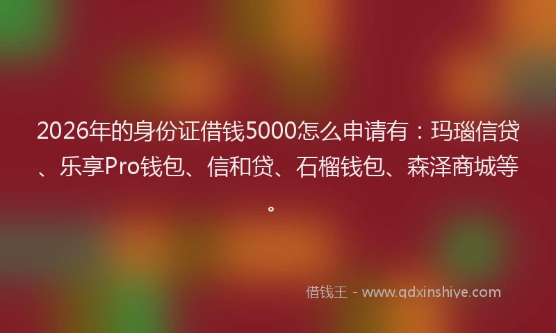 2026年的身份证借钱5000怎么申请有：玛瑙信贷、乐享Pro钱包、信和贷、石榴钱包、森泽商城等。