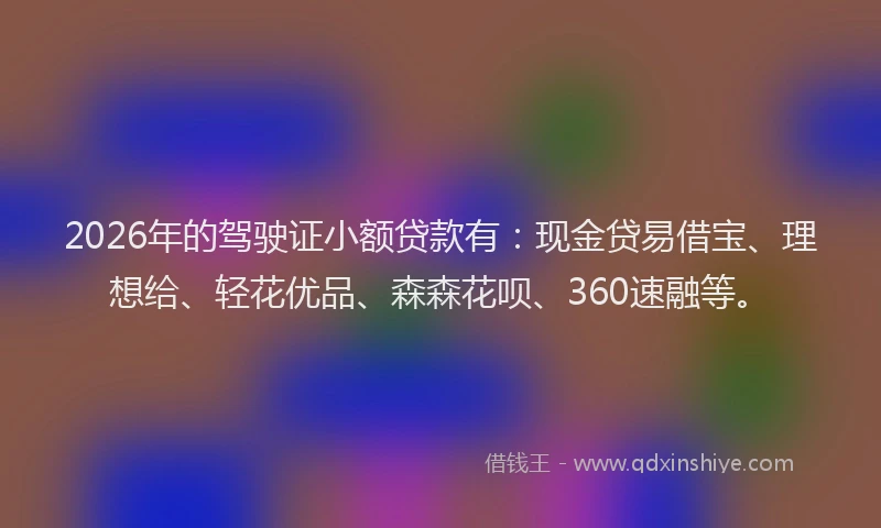 2026年的驾驶证小额贷款有:现金贷易借宝、理想给、轻花优品、森森花呗、360速融等。