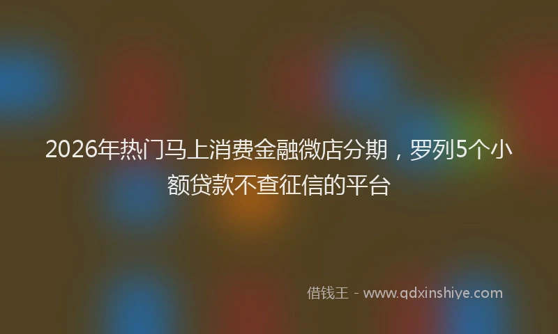2026年热门马上消费金融微店分期，罗列5个小额贷款不查征信的平台