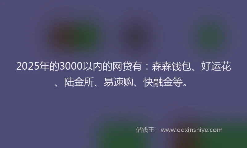 2025年的3000以内的网贷有：森森钱包、好运花、陆金所、易速购、快融金等。