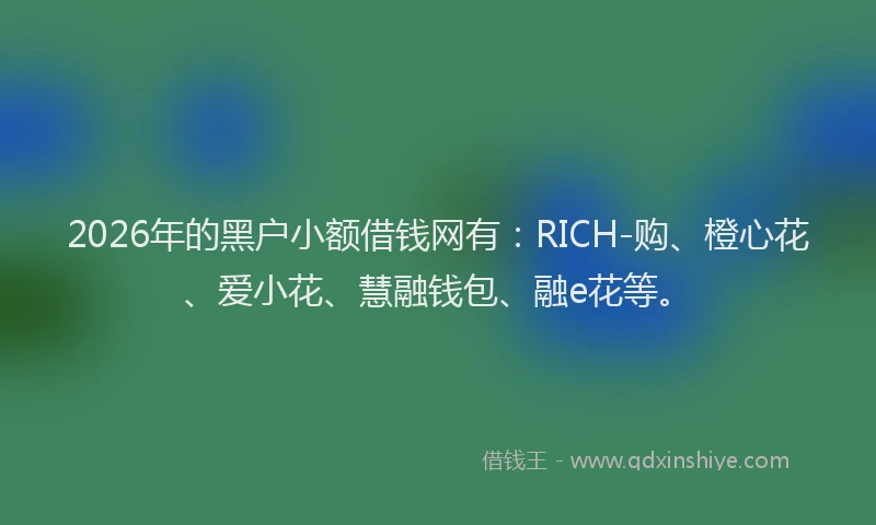 2026年的黑户小额借钱网有：RICH-购、橙心花、爱小花、慧融钱包、融e花等。