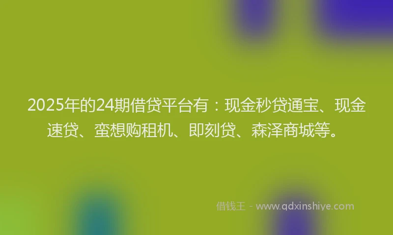 2025年的24期借贷平台有：现金秒贷通宝、现金速贷、蛮想购租机、即刻贷、森泽商城等。