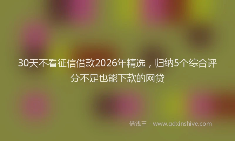 30天不看征信借款2026年精选，归纳5个综合评分不足也能下款的网贷