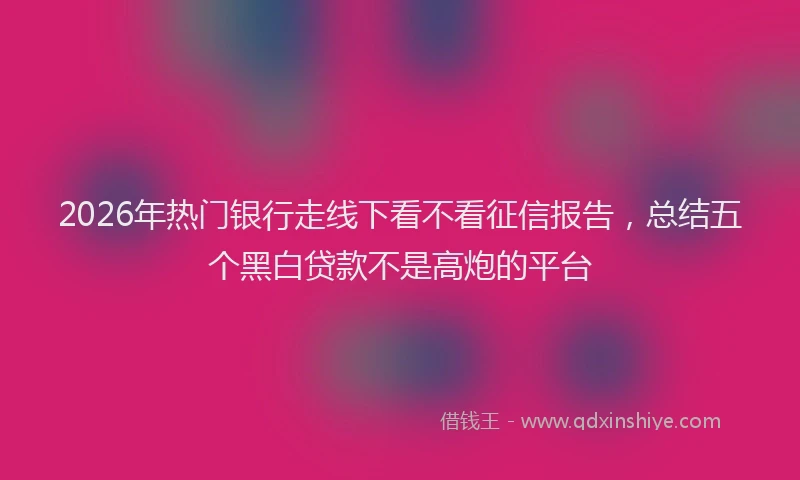 2026年热门银行走线下看不看征信报告，总结五个黑白贷款不是高炮的平台