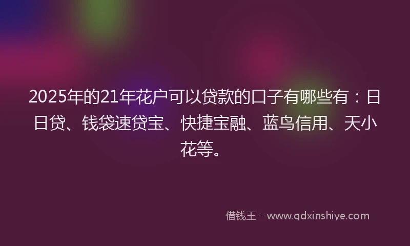 2025年的21年花户可以贷款的口子有哪些有：日日贷、钱袋速贷宝、快捷宝融、蓝鸟信用、天小花等。