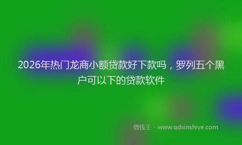 2026年热门龙商小额贷款好下款吗，罗列五个黑户可以下的贷款软件