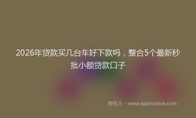 2026年贷款买几台车好下款吗，整合5个最新秒批小额贷款口子