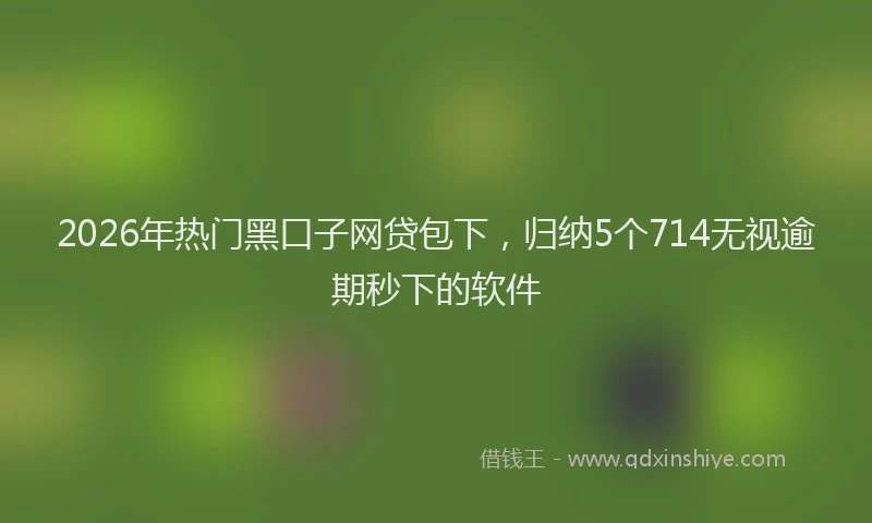 2026年热门黑口子网贷包下，归纳5个714无视逾期秒下的软件