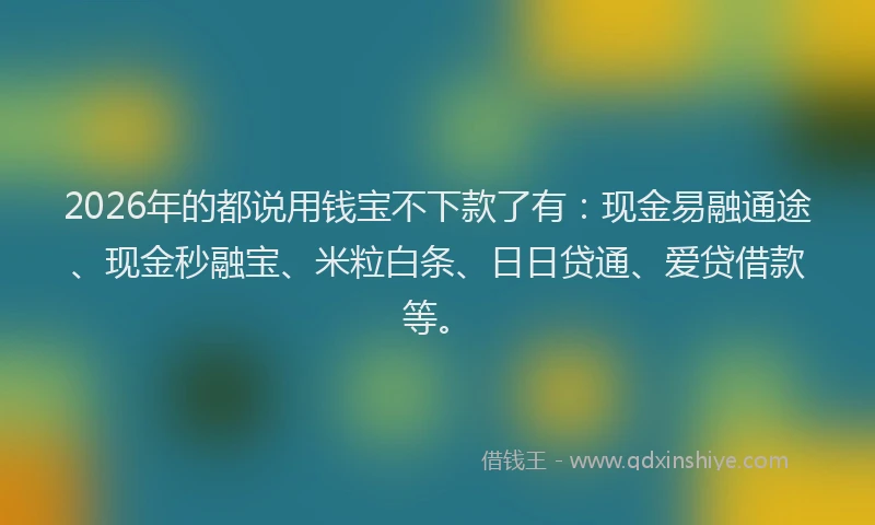 2026年的都说用钱宝不下款了有：现金易融通途、现金秒融宝、米粒白条、日日贷通、爱贷借款等。