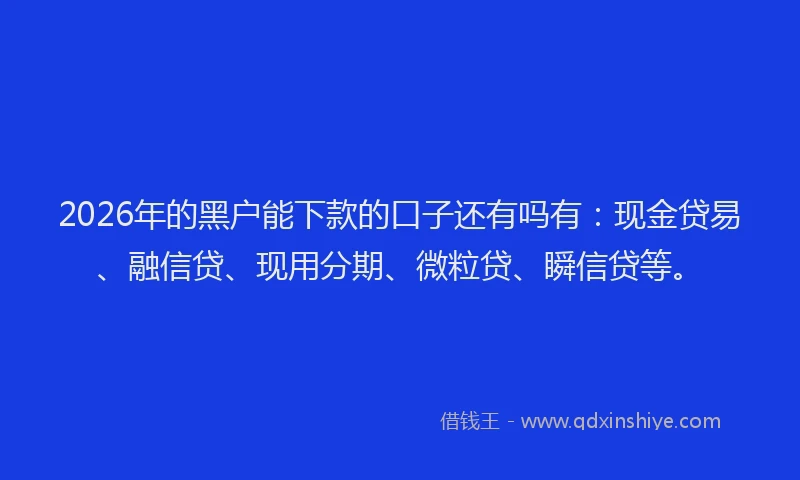 2026年的黑户能下款的口子还有吗有：现金贷易、融信贷、现用分期、微粒贷、瞬信贷等。