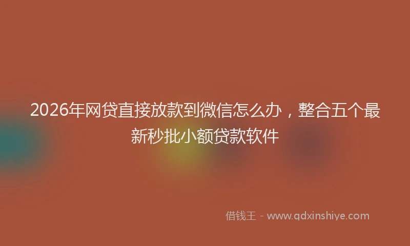2026年网贷直接放款到微信怎么办，整合五个最新秒批小额贷款软件