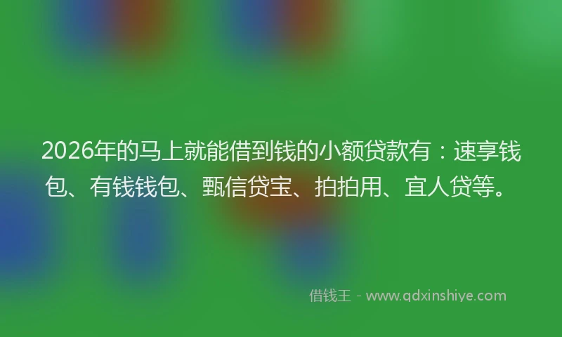 2026年的马上就能借到钱的小额贷款有:速享钱包、有钱钱包、甄信贷宝、拍拍用、宜人贷等。